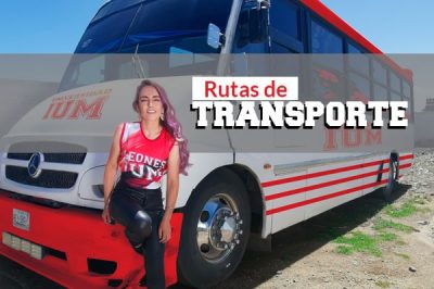 Transporte Gratuito